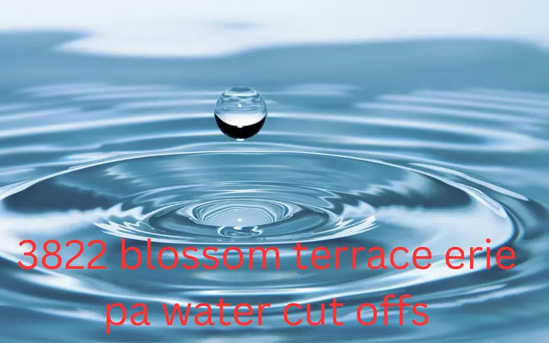 3822 Blossom Terrace Erie PA Water Cut Offs